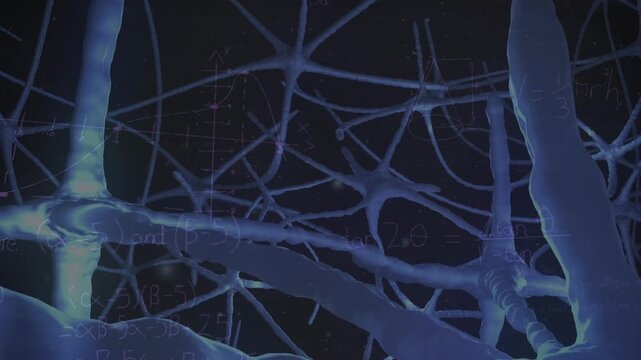 Animation of mathematical equations over neurons on black background