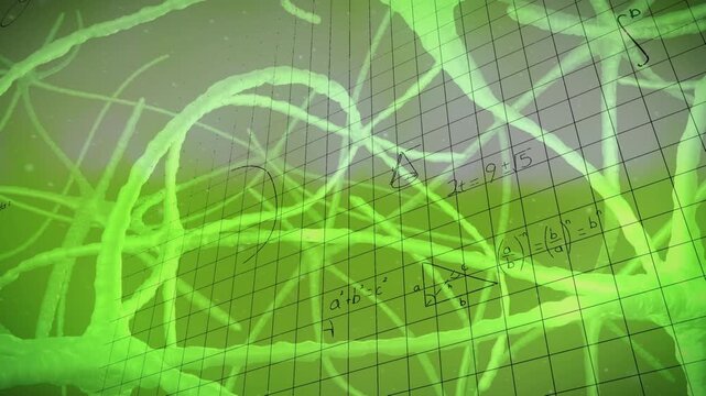 Animation of mathematical equations over neurons on white background