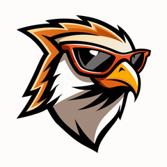 colorful illustration of a kestrel head mascot logo