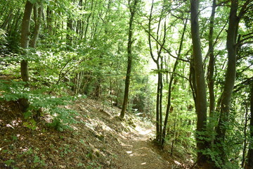 photos annecy