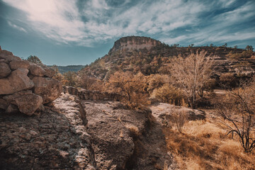 montañas, montaña, cielo, nopal, desierto, mexico, arboles, sequia, naturaleza, mountains, mountain, sky, cactus, desert, Mexico, trees, drought, nature 