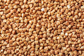 Whole grain buckwheat. Macro shot