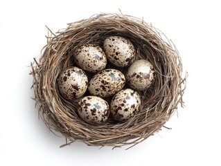 Obraz premium Isolates the egg's realistic nest on a clean white background, with high-resolution, high-quality, professional color grading and sharp, sharp focus for professional, lifelike presentations.