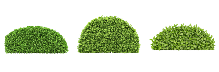 Curved hedge fence design featuring lush green foliage, perfect for modern backyard landscaping. ,isolate on transparent background