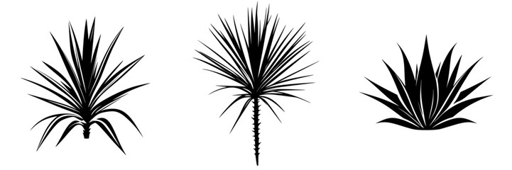 Stylized black-and-white vector illustration of three distinct succulent plants showcasing minimalist design elements for modern decor