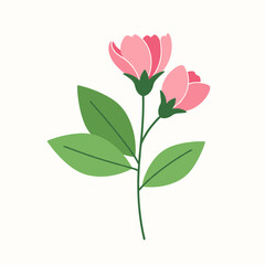 Fototapeta premium Delicate pink spring flowers bloom with green leaves on a white background