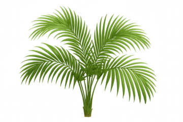 Realistic 3d rendering featuring vibrant green palm tree, standing isolated on transparent background, enhancing tropical design compositions