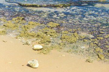 tropical beach and blue sky