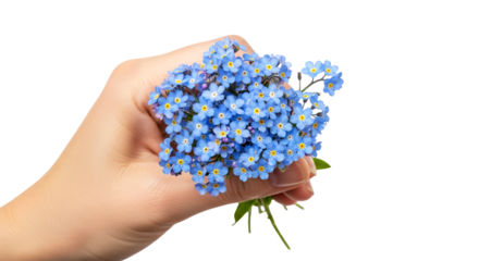 a handful of forgetmenots a gentle embrace of springs blue hues, isolated on transparent background