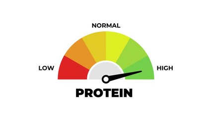 Protein Level Gauge Meter Animation, Low Normal High Infographic Chart for Health and Nutrition