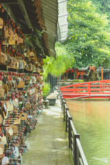 bridge over the river