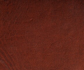Texture of natural leather as background, top view