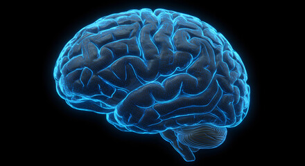 Blue Glowing Human Brain Digital Visualization Neuroscience Concept