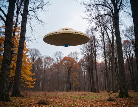 A beige UFO hovers over a fall forest