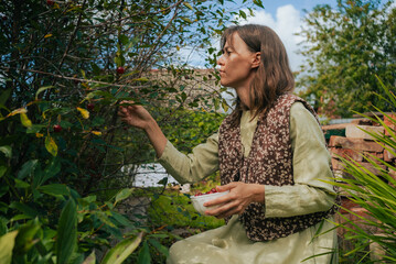 Female farmer picking ripe cherries from tree branches, collecting them in bowl in her garden on...