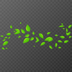 Flying green leaves on a transparent background. Vector illustration