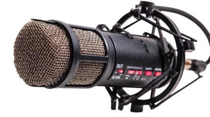 Black Condenser Microphone with Metal Grid and Shock Mount