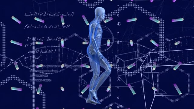 Animation of human body model and data processing over navy background - Powered by Adobe
