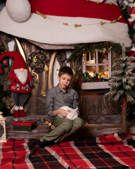 A boy sits in a New Year's interior with a rabbit in his hands.