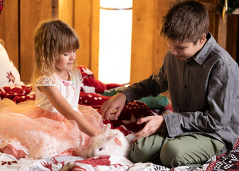 Brother and sister sitting on the bed with a white rabbit. New Year's atmosphere.