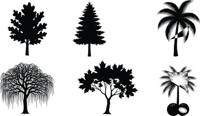 Silhouettes of various trees, oak, pine, palm, willow, tropical coconut tree, different tree types vector illustration set