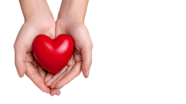 concept of love and support with heart in palms