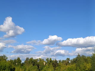 white clouds floating in blue sky over forest, copy space