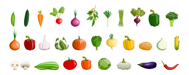 Assortment of fresh garden vegetables. Natural organic food for healthy diet. Farm harvest collection in flat style for market banner.