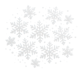 White snowflake glitter
