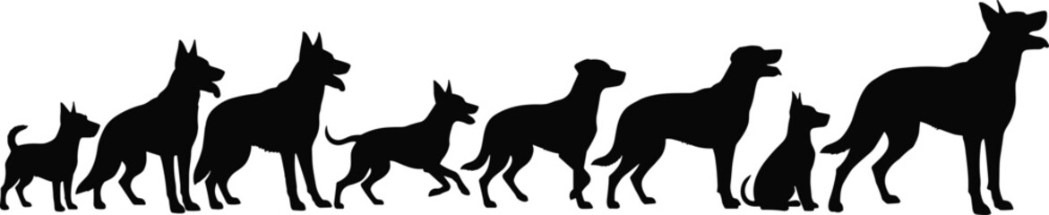 Silhouettes of dogs in size progression from small to large for vector illustration, breed diversity, growth stages and pet design use
