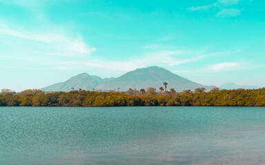 A view of the sea with a backdrop of mangrove forests and mountains in the summer. Baluran Sejile.