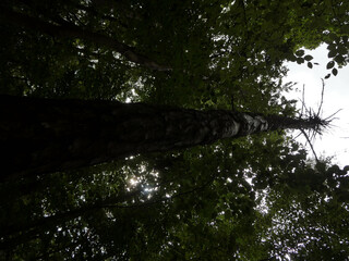 Abschnitt Bamberg bis Reundorf