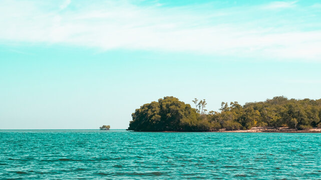 Coastal mangroves stand beside calm waters. Distant mountain peaks frame a serene horizon. A turquoise sky stretches overhead with fluffy clouds at Baluran Tourism Park.