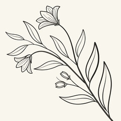 minimal botanical graphic sketch drawing vector template