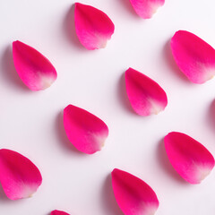 Square layout of pink rose petals on light background, floral concept.