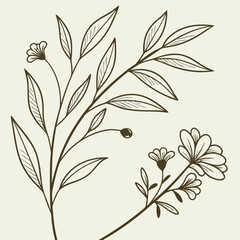 minimal botanical graphic sketch drawing vector template