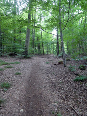 Abschnitt Bamberg bis Reundorf