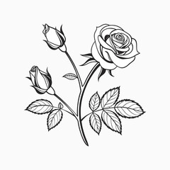 set of decorative hand drawn roses isolated on white background