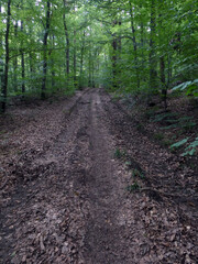 Abschnitt Bamberg bis Reundorf
