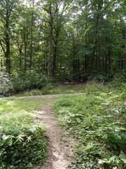 Abschnitt Bamberg bis Reundorf