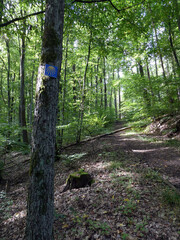 Abschnitt Bamberg bis Reundorf