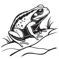 Monochrome Illustration of a Frog Perched on a Root with Detailed Spots and Elegant Black and White Shading