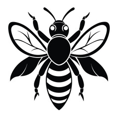 Striking Black and White Bee Illustration Detailed Insect Depiction with Stylized Wings and Distinctive Stripes