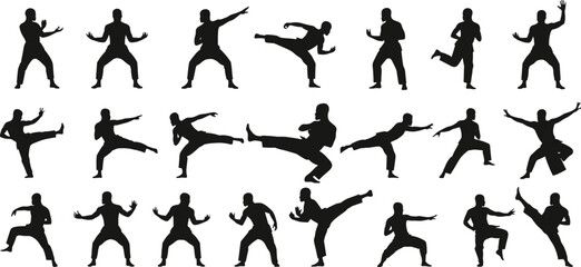 Martial arts silhouette, karate training, kung fu fighter, self defense practice, kickboxing moves, martial artist, combat sports, fitness exercise