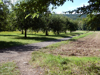 Abschnitt Bamberg bis Reundorf