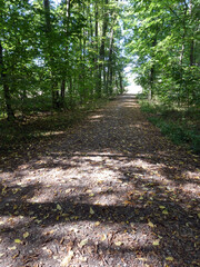 Abschnitt Bamberg bis Reundorf