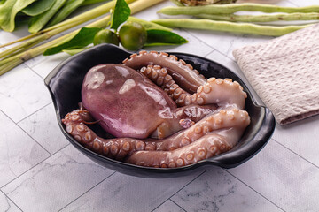 Gourmet luxury raw wild octopus