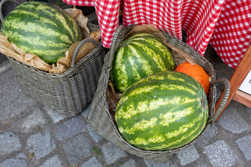 Fresh watermelons and small pumpkin in wicker baskets on stone pavement. Outdoor market display with red checkered tablecloth