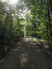 Abschnitt Bamberg bis Reundorf