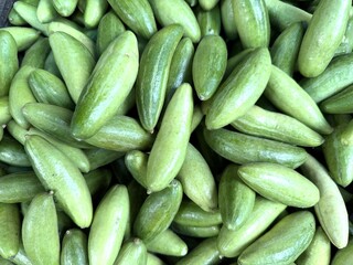 Pile of fresh shiny pointed gourds are lying together in a high resolution photo